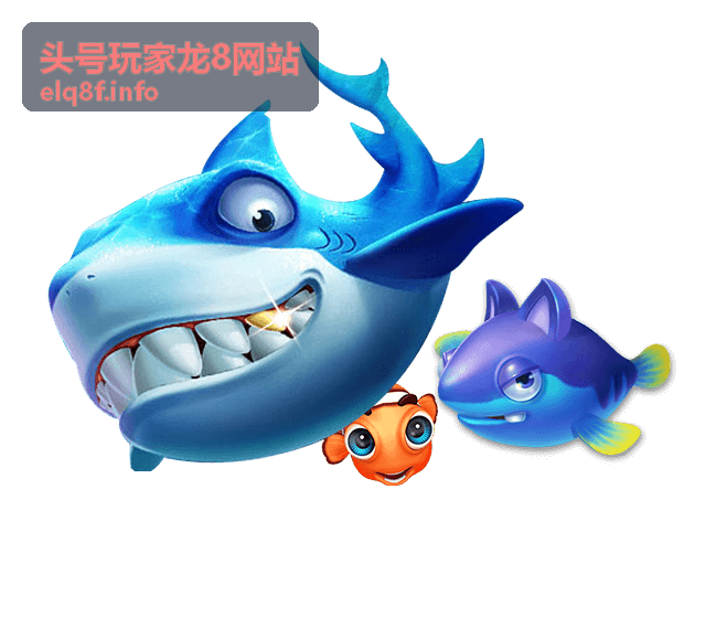 头号玩家龙8客户端功能评测与玩法介绍